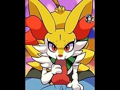 Braixen BJ loop